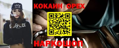 кокс Будённовск